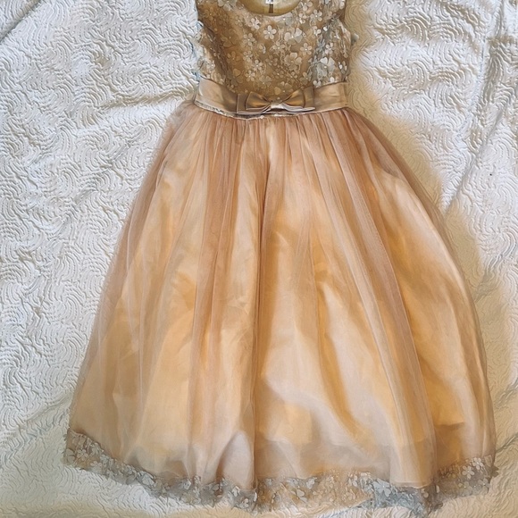 Girls Flower Girl, Champagne, Flower Appliqués On Bodice and Hem, Size 18 - Picture 1 of 4